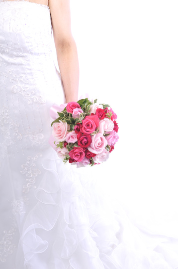 �s���N�̃`���C�X�u�[�P bq0620