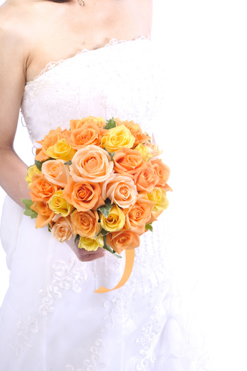 �I�����W�̃`���C�X�u�[�P bq0621