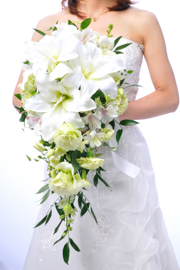 �J�T�u�����J �m�[�u�� �f���o���[�d�l bq0626