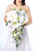 �J�T�u�����J �N�[�� �f���o���[�d�l bq0628