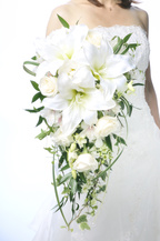 �J�T�u�����J �G���K���g �f���o���[�d�lbq0629