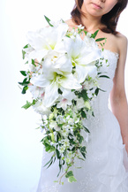 �J�T�u�����J �L���[�g �f���o���[�d�lbq0630