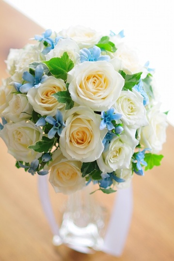 �`���C�X�u�[�P �f���o���[�o�[�W���� bq0642