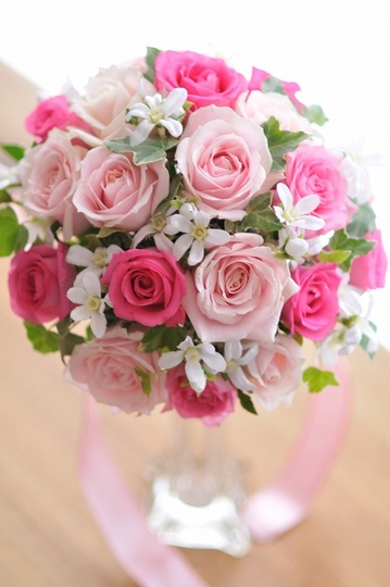 �`���C�X�u�[�P �s���N �f���o���[�o�[�W���� bq0643