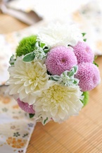 �a���u�[�P �s���|���}��