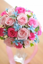 �`���C�X�u�[�P �s���N �f���o�� bq0646