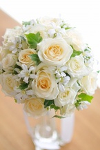 �`���C�X�u�[�P �� �f���o���[�d�l bq0647