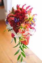 �I�[�_�[�u�[�P �O�����I�T