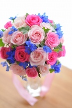 �G�߃u�[�P �s���N�o�����f���t�B bq0651