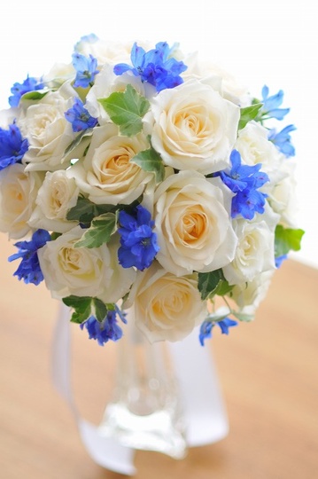 �G�߃u�[�P ���o�����f���t�B bq0652