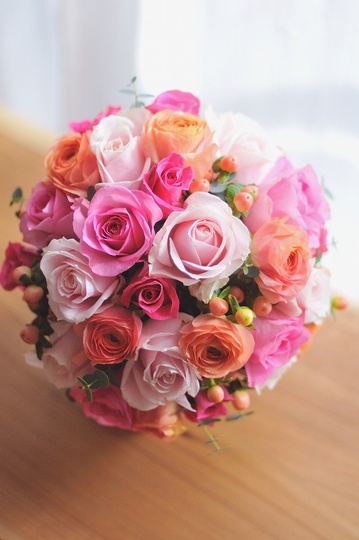 �G�߃u�[�P �o���ƃ��i���L�����X�̃u�[�P[2]