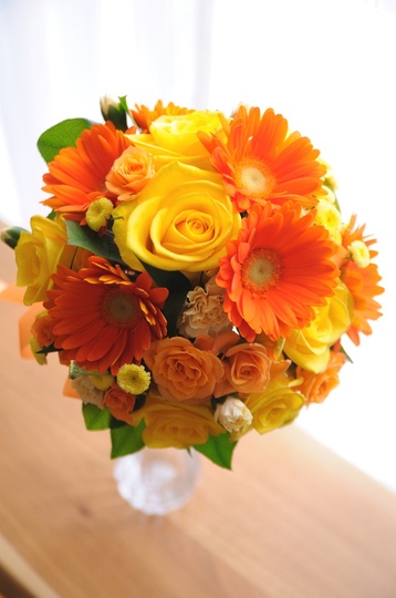 �V�΂̋G�߂Ɏ������r�^�~���u�[�P[4]