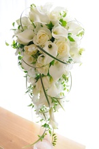 �J���[�̃L���X�P�[�h