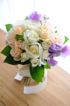 ���K�N�̃N���b�`[2]