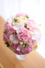 �{���[�W���s���N���E���h [7]