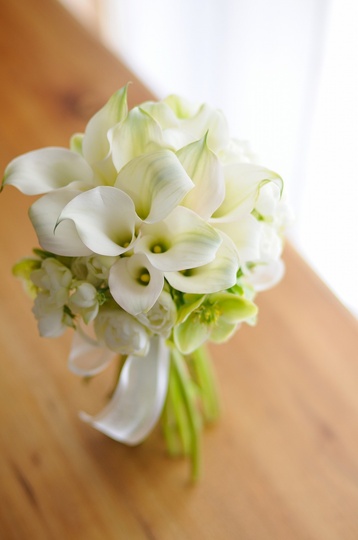 �J���[�N���b�`�u�[�P