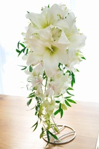 ���܂����J�T�u�����J�L���X�P�[�h