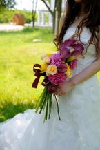 �_���A�ƃJ���[�̓썑�A�[���u�[�P[6]