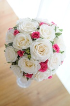 �`���C�X�u�[�P�A�o�����A�Z���s���Nbq0742