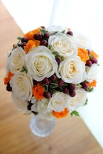 �`���C�X�u�[�P���o���A�I�����W�A���Fbq0743