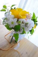 ���F�J���[�̃N���b�`�u�[�P