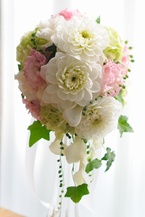 ���_���A�̃I�[�o���u�[�P[7]