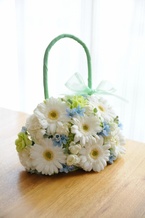 ���K�[�x���̃o�b�N�u�[�P