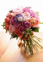 �H�F�N���b�`�u�[�P[6]