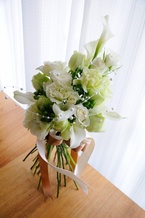 �J���[�A�[���u�[�P