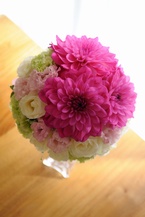 ��l�s���N�̃_���A�̃��E���h�u�[�P[7]