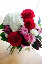 �_���A�ƃA�W�T�C�̃S�[�W���X�u�[�P