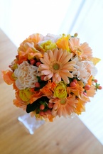 �����i�L�����X�ƃK�[�x���̏t�F�u�[�P[4]