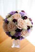 �A���e�B�[�N���E���h�u�[�P[6]