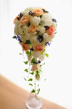 �u���S�[�j���̃L���X�P�[�h�u�[�P[6]