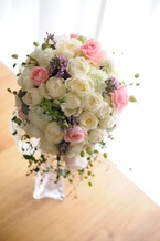 �N���V�J���u�[�P[6]