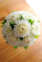 ���_���A�̃��E���h�u�[�P