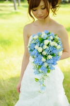 �u���[�̃i�`�������I�[�o���u�[�P[1]