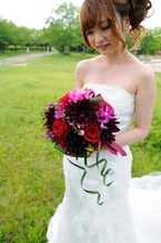 �_���A�Ɛԃo���̃��E���h�u�[�P [6]