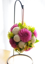 �_���A�{�[���u�[�P