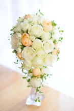 ���ƃA�v���R�b�g�o���̃I�[�o���u�[�P [6]