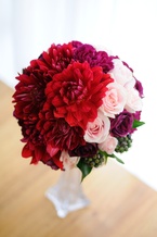 �_���A���E���h�u�[�P [6]