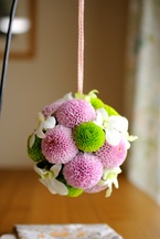 �`���C�X�w�a�x�{�[���u�[�P�i�s���N�j