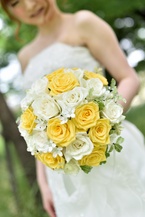 ���F�Ɣ��̃o���u�[�P