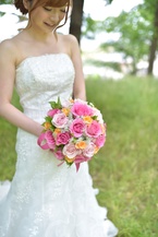 �`���C�X �s���N+ ���L���E�\�E��