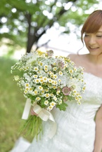 ���Ɖ��F�̑��ԃN���b�`�u�[�P