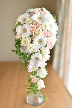 �`���C�X�L���X�P�[�h�u�[�P�i�K�[�x�����C���j