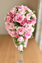 �`���C�X�I�[�o���i�s���N�j