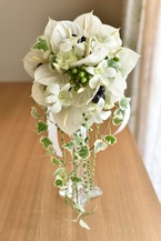 �A���X���E���̃u�[�P