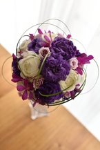 ���̃g���R�Ɣ��̃I�V�����u�[�P