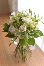 �i�`�������N���b�`�u�[�P�k2�l